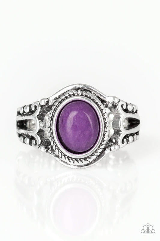 shop-sassy-affordable- peacefully-peaceful-purple-paparazzi-accessories