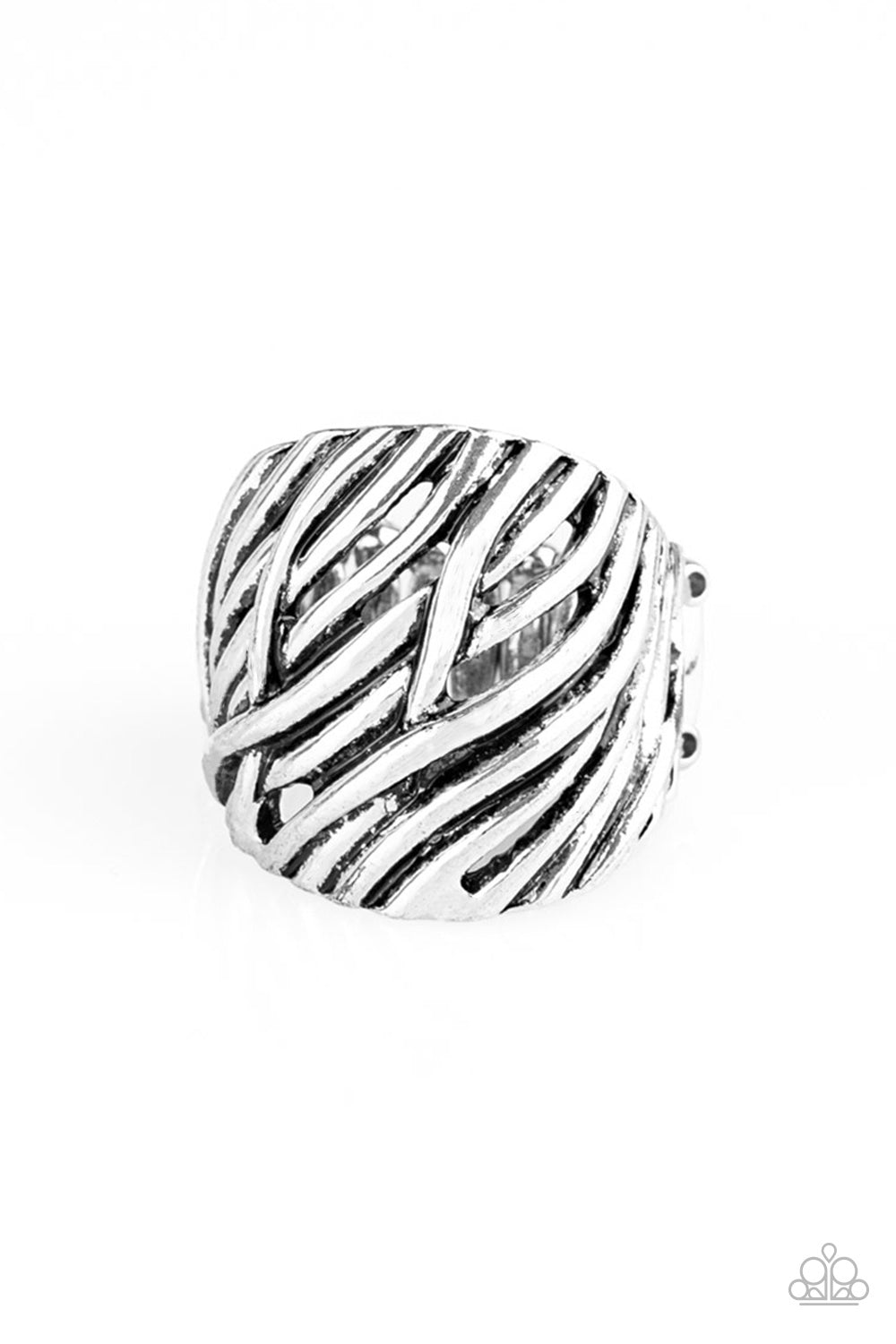 shop-sassy-affordable- really-riveting-silver-paparazzi-accessories