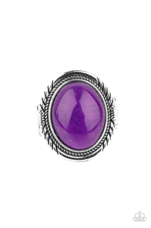 shop-sassy-affordable-stone-terrarium-purple-paparazzi-accessories