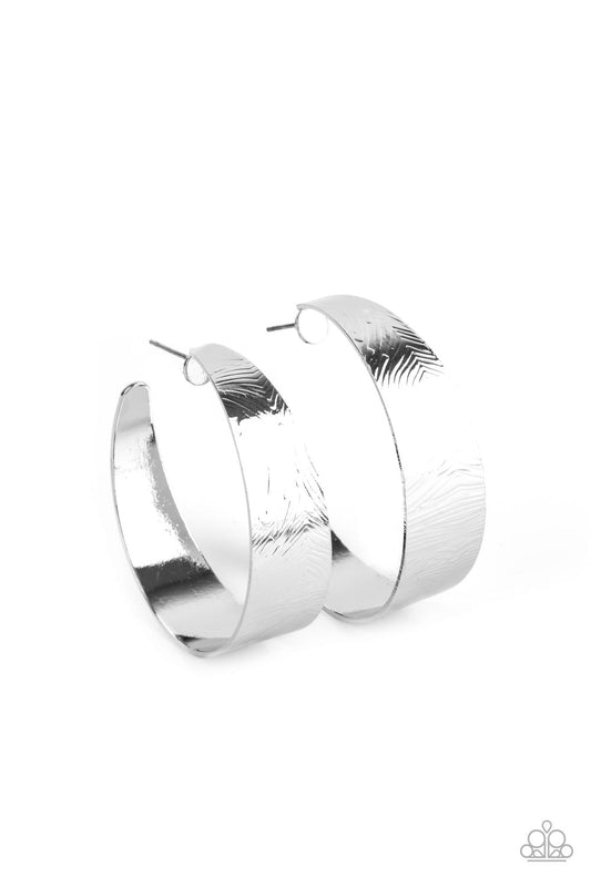 shop-sassy-affordable- curve-crushin-silver-paparazzi-accessories